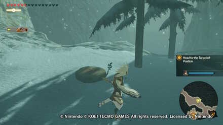 Winged Escort Korok Seed Locations