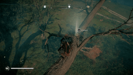 Essexe Roman Artifact.png