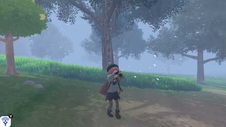 Snowstorm Weather.jpg