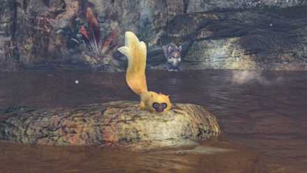 Goldspring Macaque.jpg