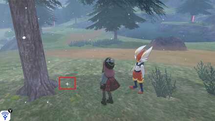 Shiny object on the ground.jpg