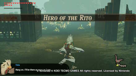 Hero of the Rito Banner