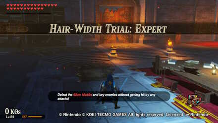 Hair-Width Trial: Expert Banner