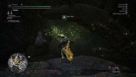While on a Raider Ride