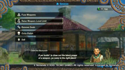 Raise Max Weapon Level.jpg