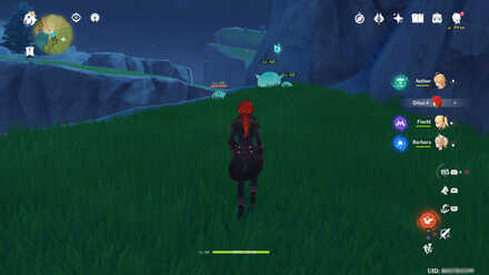 Genshin_Impact_Anemoculus_Starfell_Valley_1