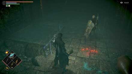 Patches the Hyena - The Pit