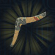 Boomerang Icon