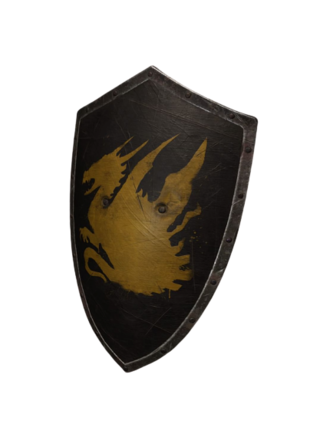 Kite Shield Icon