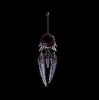 Stygian Zinogre Claws Pendant.png