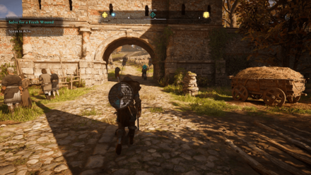 Salve for a Fresh Wound - Speak to Acha.png