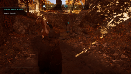 Salve for a Fresh Wound - Speak to Hunwald.png