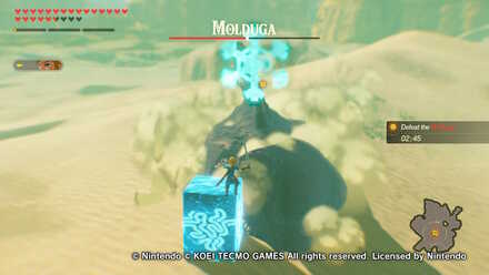 Molduga Attack Pattern - Charging Cryonis Prompt.jpg