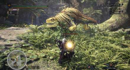 What is a Flashfly Cage.jpg