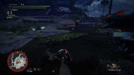 What is a Shieldspire.jpg