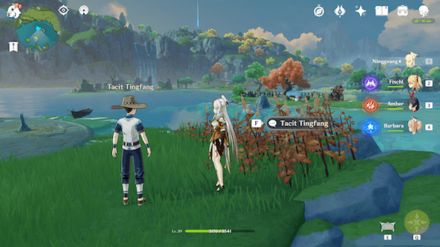 Genshin - While its Warm - Tacit Tingfang