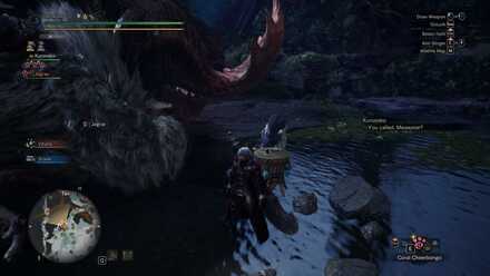 What is a Coral Orchestra.jpg