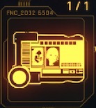 Extended Network Interface