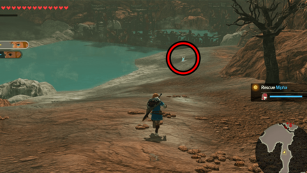 Hyrule Warriors: Age of Calamity - Water and Fire Blurpee