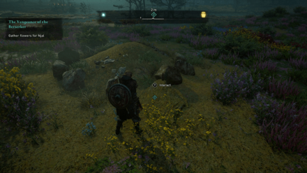 The Vengeance of The Berserker - Gather flowers for Njal.png