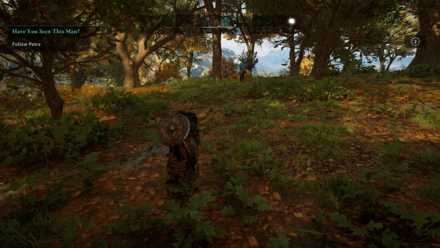 Have You Seen This Man - Follow Petra.png