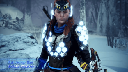 shield-weaver full armor set.png