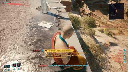 Talk to the Zen master