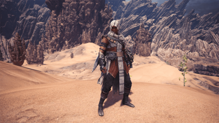 bayek layered armor.png