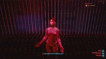 Cyberpunk 2077 - Pass through the Blackwall