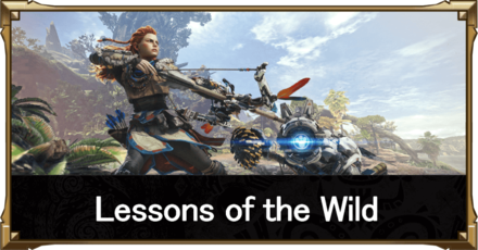 lessons of the wild banner.png