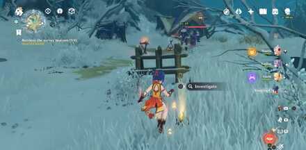 The Great Mountain Survey Objective 3.jpg