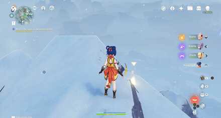 The Great Mountain Survey Objective 9.jpg