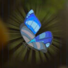 Winterwing Butterfly Icon
