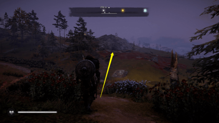 Skal to Your Wealth - Collect bear