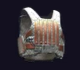 Amber-04 Titanium-Plated Ballistic Vest