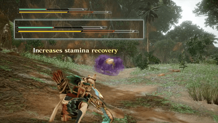 MH Rise - Manage Stamina Usage