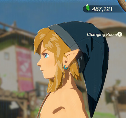 Cap of the Wild Navy