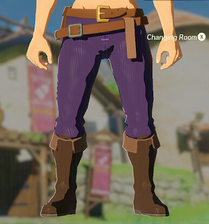 Hylian Trousers Purple