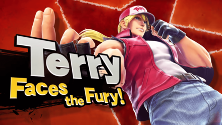 Super Smash Bros. Ultimate Terry Guide