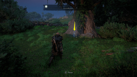 The Sky Thief - Get the ring.png