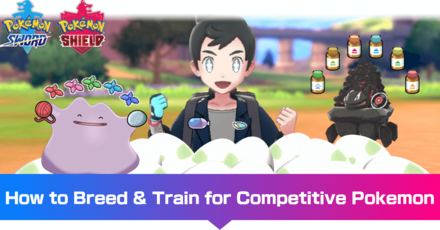 Pokemon Sword and Shield Raikou 6IV-EV Competitively Trained – Pokemon4Ever