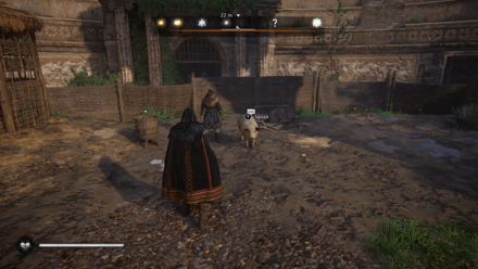 Pig of Prophecy - Speak to the Pig of Prophecy.png