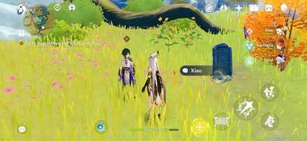 Genshin - Illuminated Beast - Xiao 1