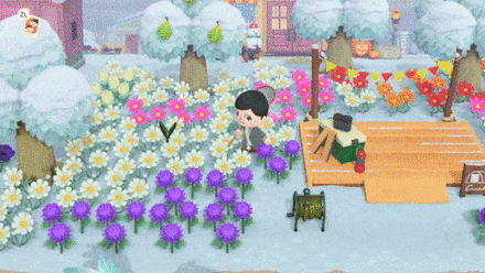 ACNH Bug Guide - Resident caught a Rajah Brooke