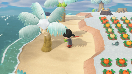 ACNH - A resident picks up a pear