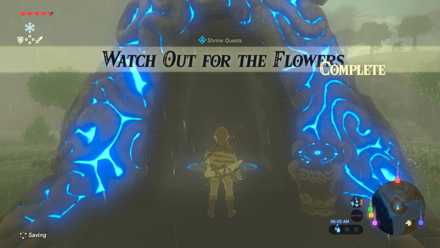BotW - Activate the Shrine