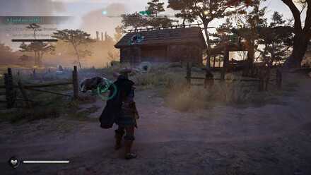 Investigate the mauled livestock.jpg