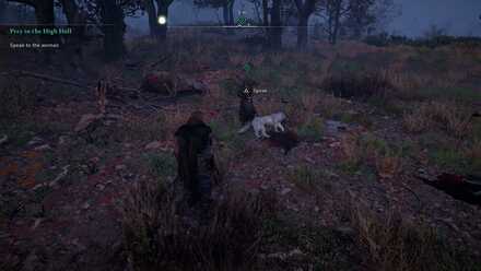 Speak to the woman.jpg