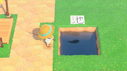 ACNH - Minimum water area for fish to spawn is 3x3