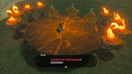 BotW - Endure the heat